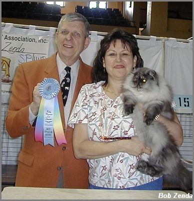 Exquisitcats  Beethovan
